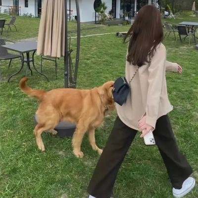 风尘艳侣
